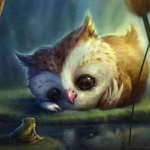 Meet your Posher, Desarae